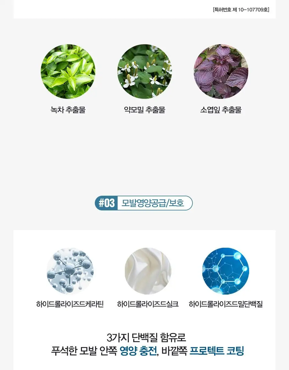 [변우석 Pick]다슈 데일리 안티헤어로스 단백질 트리트먼트 500ml 상세페이지 11